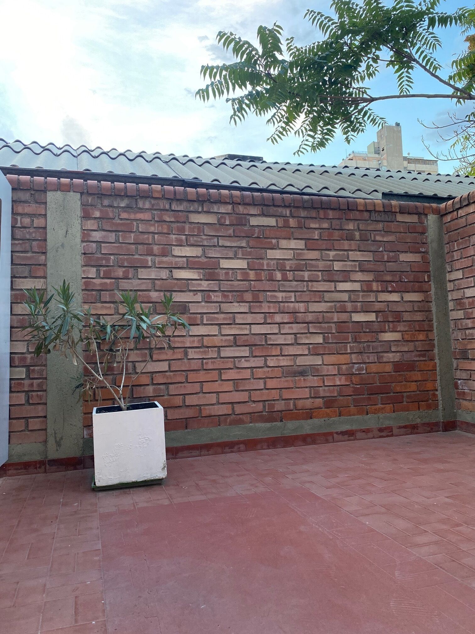 Foto - Portillo Apartments