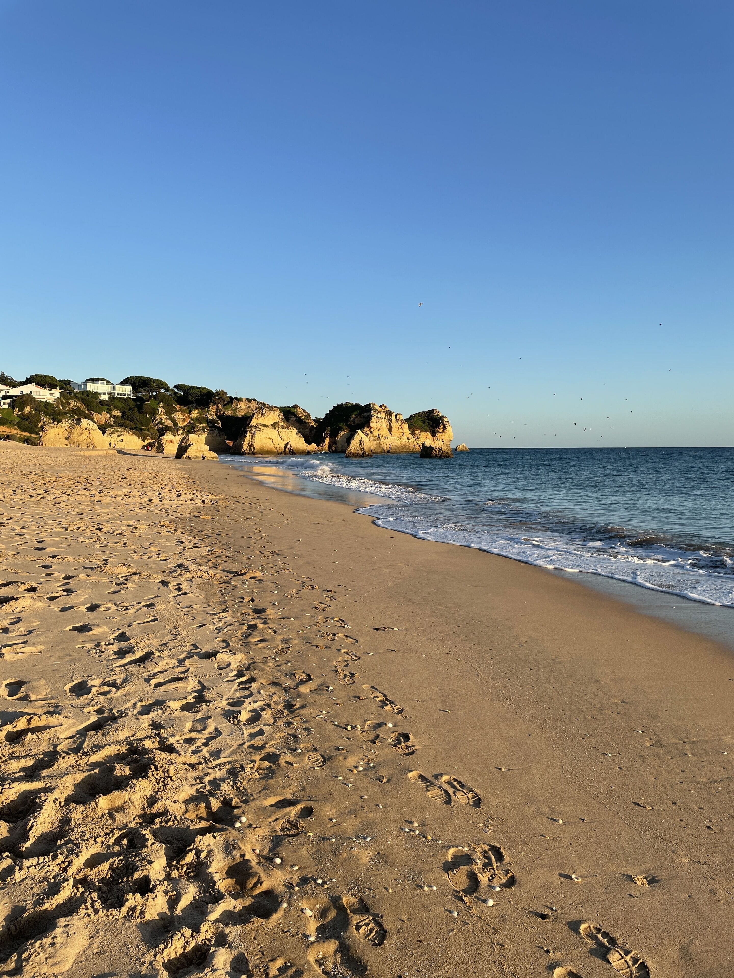 Strand