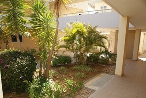 Een overdekt terras met palmbomen en diverse planten.