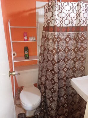 Shower, towels, soap, toilet paper