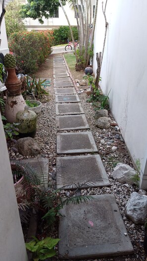 Een smal pad van stenen, begrensd door witte muren en verschillende planten.