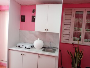 Fridge, microwave, stovetop, electric kettle