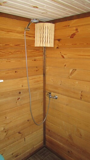Shower, hair dryer, soap, toilet paper