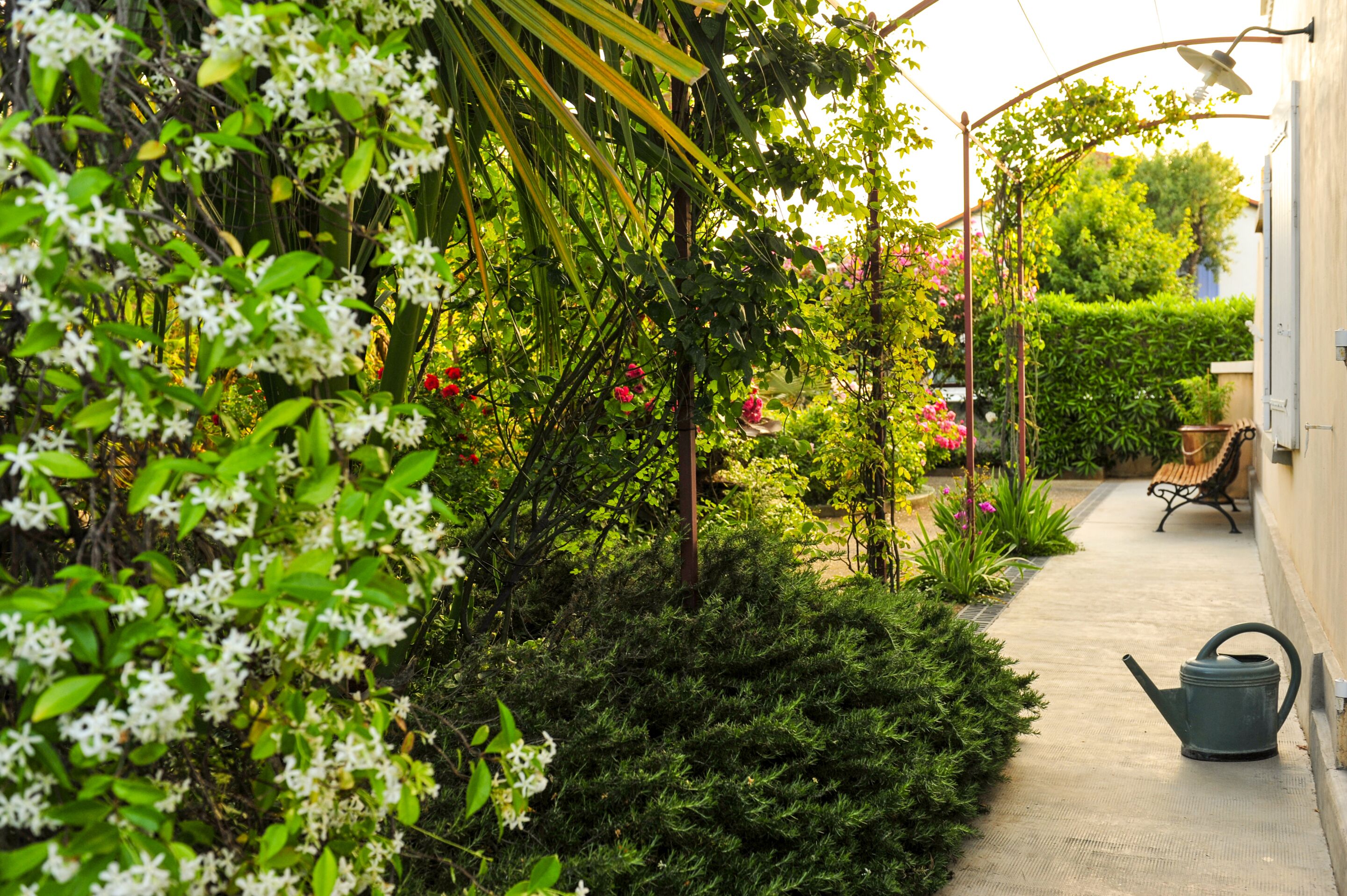 Jardin