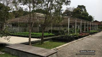 Property grounds