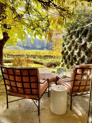 Terrace/patio - Mid-Century Modern Wine Country (Saint Helena)