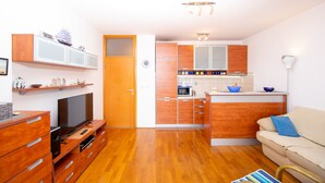 Un espace de vie compact comprenant un coin cuisine, des meubles de rangement en bois, un canapé et un téléviseur.