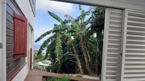 A view through an open door into a garden with a wooden deck, tropical plants, and a white building with red shutters. - T2 Design for 2 with small private pool, ideal for a loving couple. (Les Trois ILets)