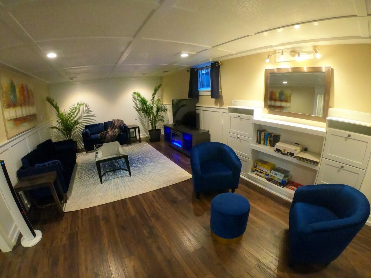 Smart-tv, pejs, bøger, musikbibliotek