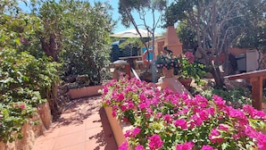A garden pathway with potted pink flowers, surrounded by various plants and trees. - Apartment "of the violets "in the villa "Refuge of Seagulls" (Trinità d'Agultu e Vignola)
