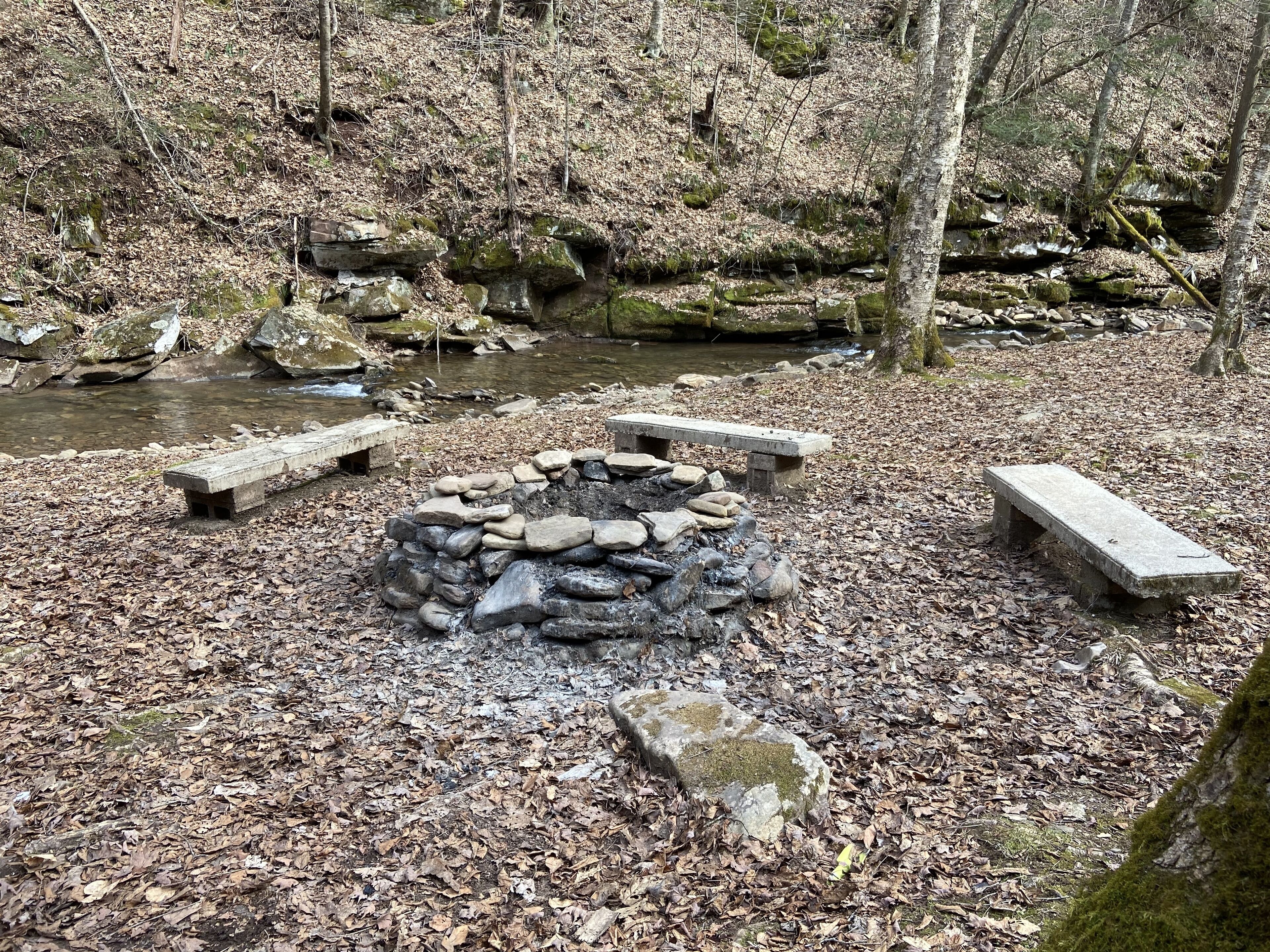 Top 12 PetFriendly Cabins Near Elkins, West Virginia Updated 2024