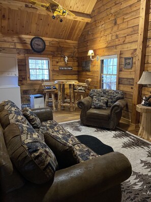 Smart TV, fireplace, DVD player, video library