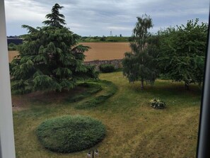 Vista de un jardín ajardinado con árboles y un cuerpo de agua.