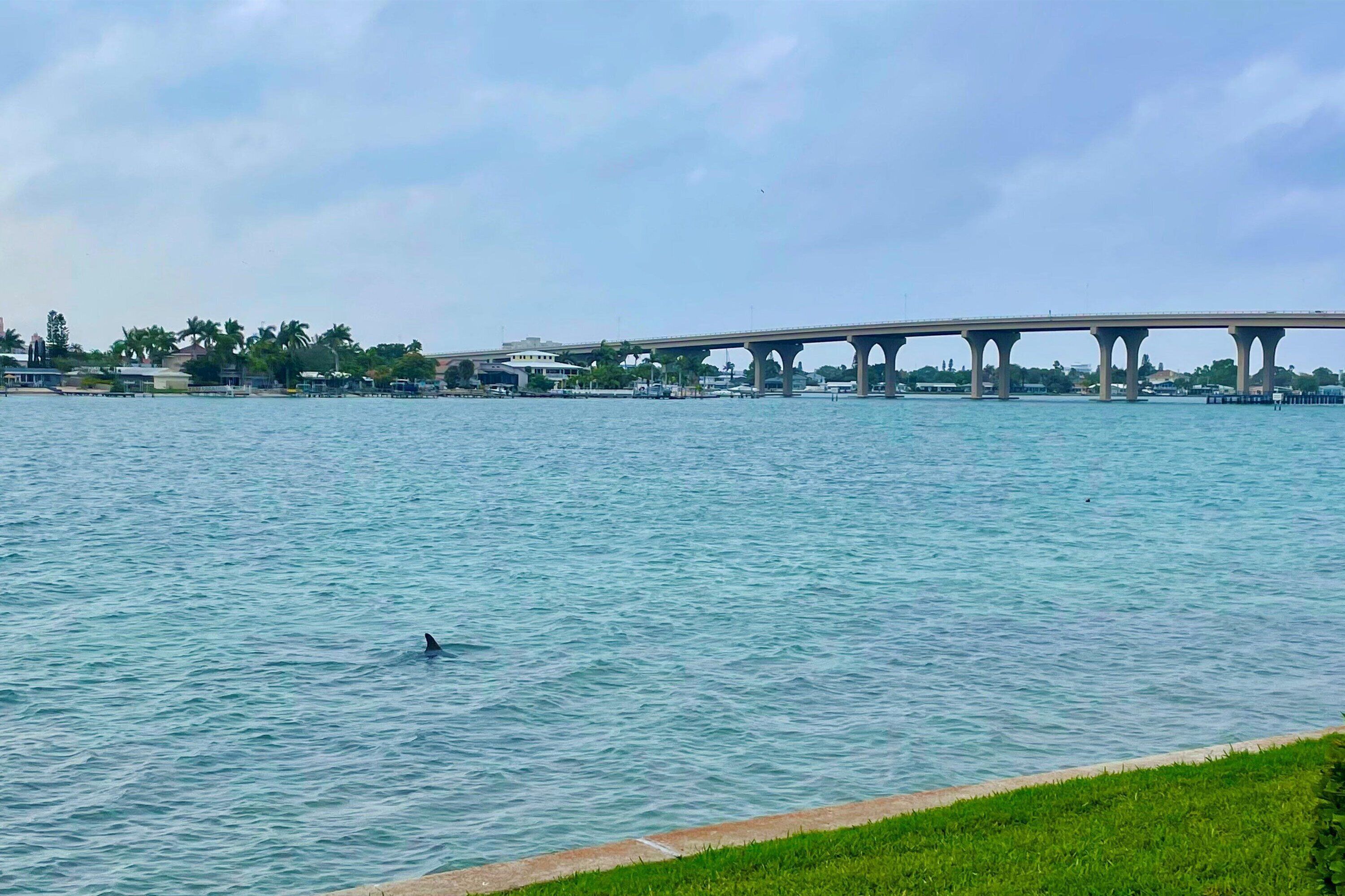 A bridge over a body of water with a swimmer in the foreground.