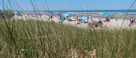 On the beach, sun loungers, beach towels