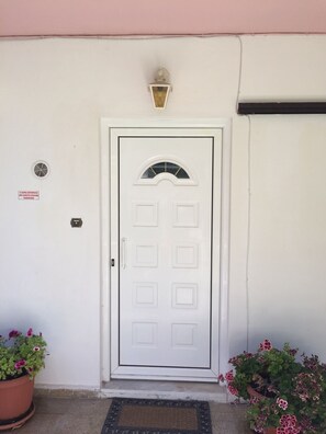A white door with a small window and a light fixture above it. There are two potted plants on either side of the door.
