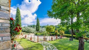 Ein gepflegter Garten mit einem Steinweg, einer Steinmauer und verschiedenen Bäumen und Sträuchern.