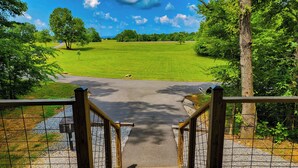 A wooden deck leading to a paved road with a metal fence, surrounded by greenery and trees. - Pet Friendly Tiny House - Lake Guntersville (Guntersville)