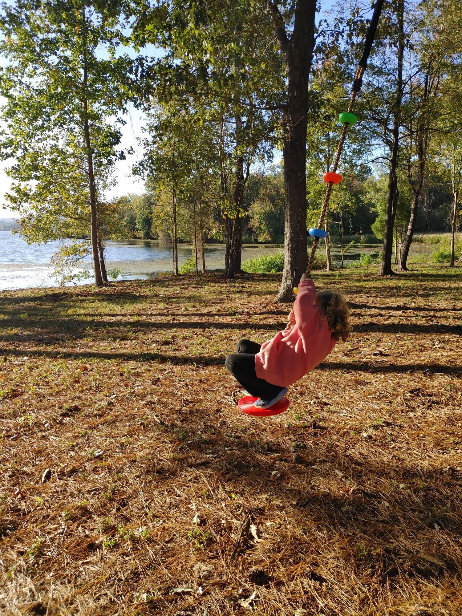 Une personne se balance sur une balançoire dans un parc, avec des arbres et un lac en arrière-plan.