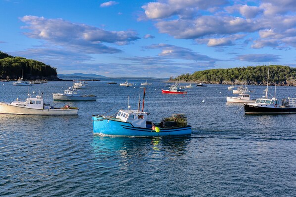 Port de plaisance