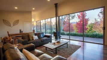 Smart TV, fireplace, video games, DVD player