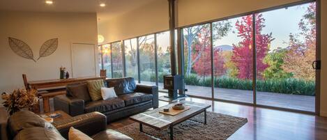 TV connectée, cheminée, jeux vidéo, lecteur de DVD