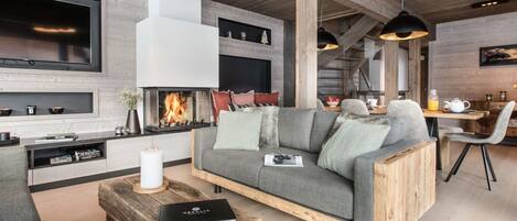 Télévision, cheminée, lecteur de DVD