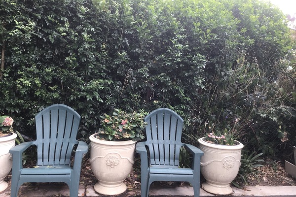 Parco della struttura