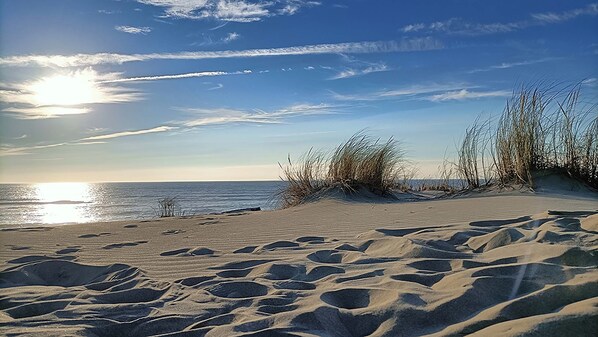 Beach nearby, sun loungers