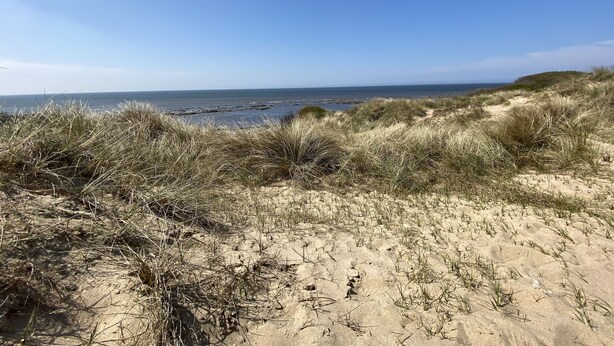 A sandy beach with dunes and a clear view of the ocean.