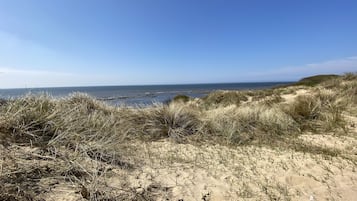 Playa en los alrededores