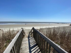 On the beach
