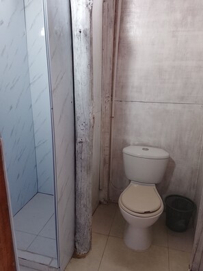 Chuveiro, bidê, papel higiênico 