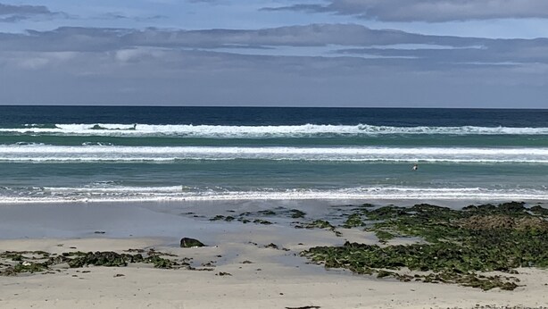 Ein Strand mit Wellen, blauem Himmel und etwas Seegras am Ufer.