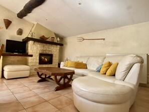 TV, fireplace, table tennis, books