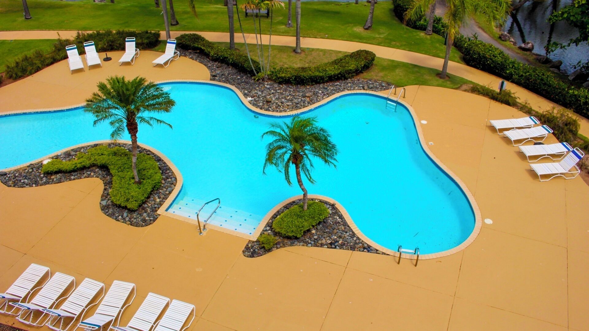 A swimming pool with lounge chairs and palm trees.