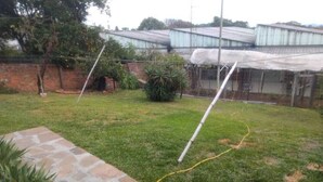 Un jardín con un sendero de piedra, un invernadero y una valla.