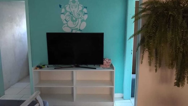 Una sala de estar con un televisor sobre un mueble blanco, un adorno de pared y una planta colgante.