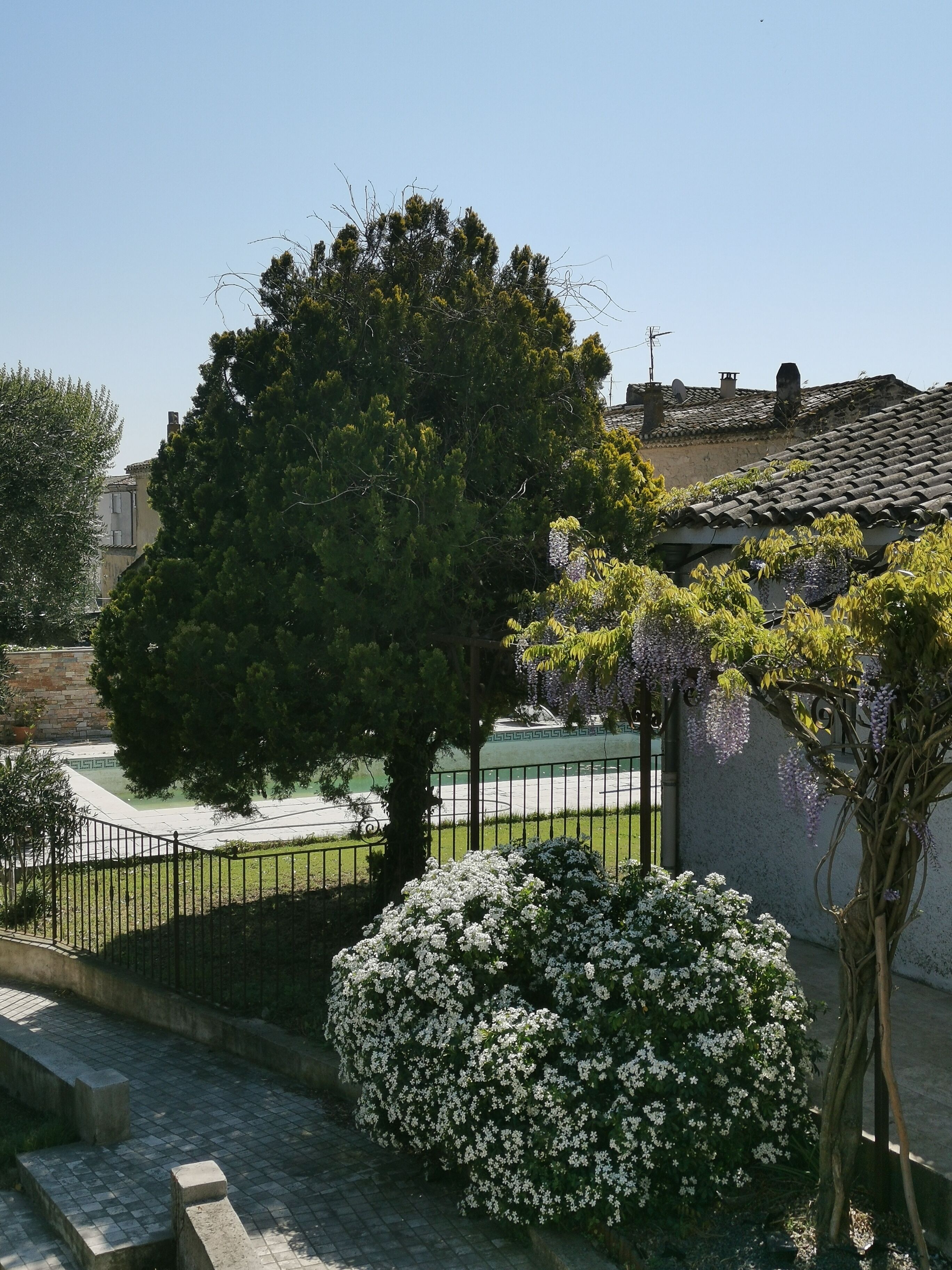 Une cour avec un grand arbre, un arbuste à fleurs blanches et un bâtiment doté d’un toit en tuiles.