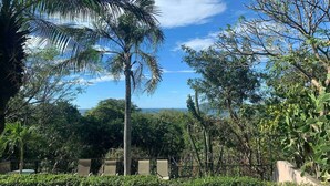 A tropical garden with a palm tree, various shrubs, and a clear blue sky. - Stylish + Fast Wifi+ IPTV+ Fully Equipped (Tamarindo)