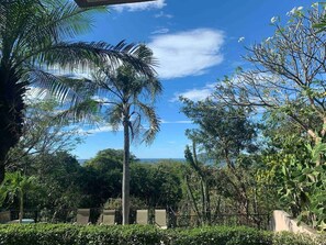 Property grounds - Stylish + Fast Wifi+ IPTV+ Fully Equipped (Tamarindo)