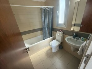 Bathtub, hair dryer, towels, soap