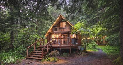 Nisqually Nest Mt Rainier hot tub and sauna