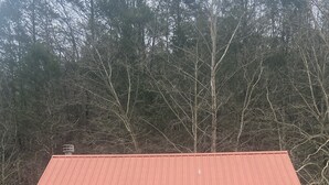 A rustic wooden cabin with a red metal roof, surrounded by dense forest. - Beautiful Cabin Nestled in the Smokies (Hartford)
