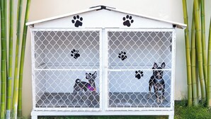 A white dog house with a metal mesh door and paw prints on the front. - Hotel San Juan (Villahermosa)