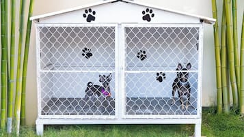 Pet-friendly amenities