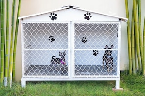 Pet-friendly amenities