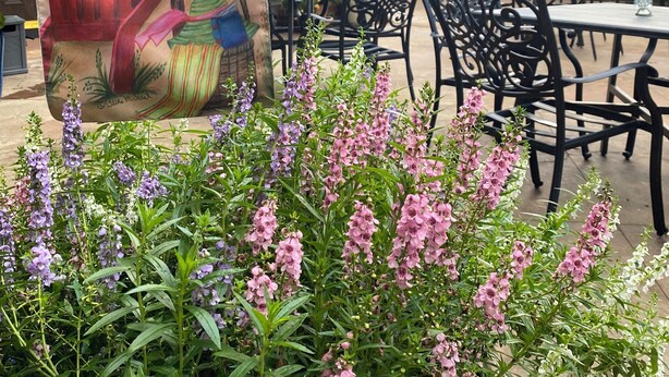 An outdoor seating area with tables and chairs, a decorative sign with a beach theme, and flowering plants. - The Law Building (Natchez)