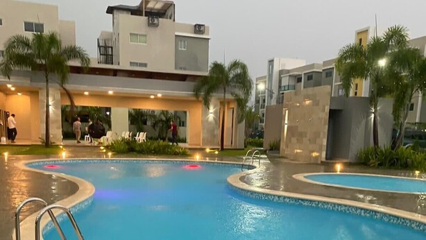 A swimming pool with a curved design, surrounded by a brick walkway and palm trees.