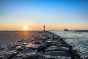 On the beach, sun loungers - Unique Direct Oceanfront w/a Private Beach (Ocean City)